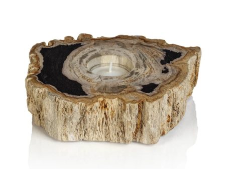 Fortaleza Petrified Wood Tealight Holder Fashion