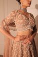 Nora nude beige lehenga set Online Sale