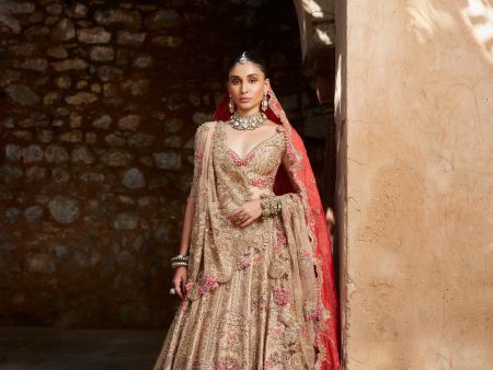 Anviksha  Bridal Lehenga Online now