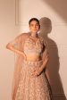 Nora nude beige lehenga set Online Sale